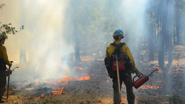 Two wildland firefighters watching a forest fire